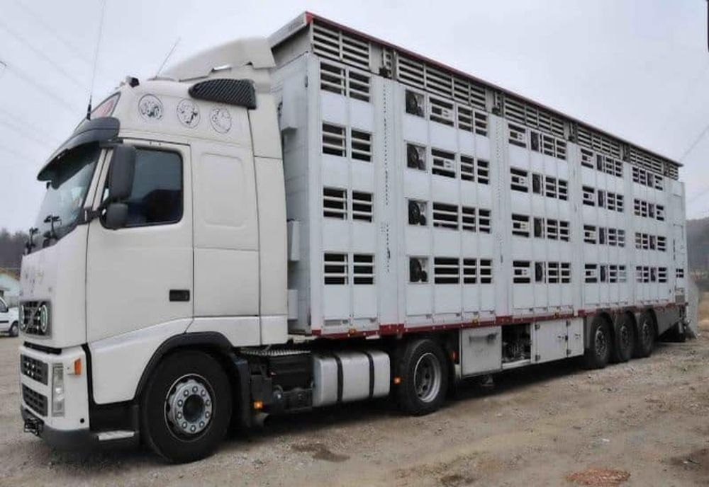 Protestele se extind în toată țara: drumuri blocate, haos în trafic! Transportatorii nu mai vor să participe la discuții până când Sorin Grindeanu nu își dă DEMISIA