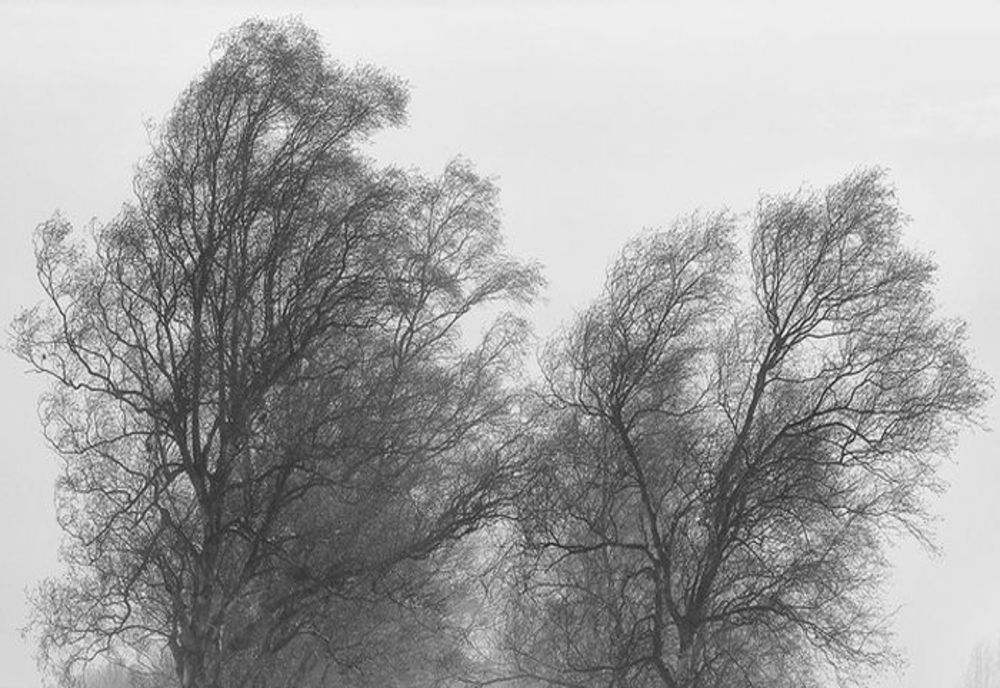 Cod galben de vânt, până miercuri. HARTA cu zonele vizate