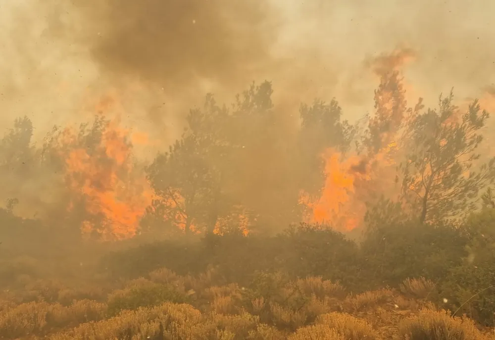 Anchetă uriașă în Grecia. Autoritățile au stabilit că cele mai multe incendii au fost provocate de mâna omului