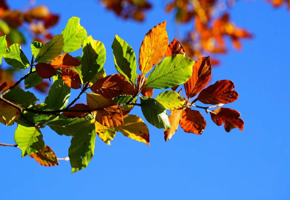 Vremea 25 septembrie - Temperaturi de vară la final de septembrie